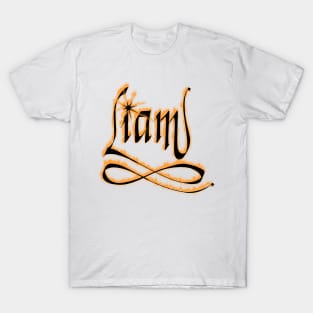 Liam - male name T-Shirt